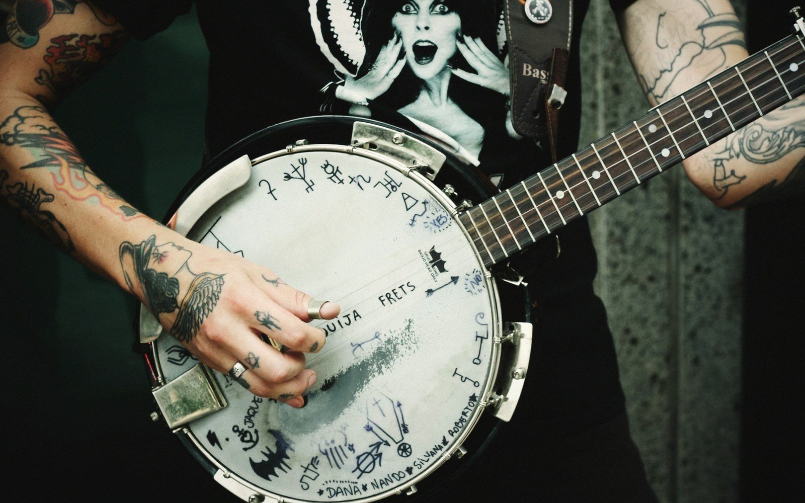 A banjo head and bridge, macro
