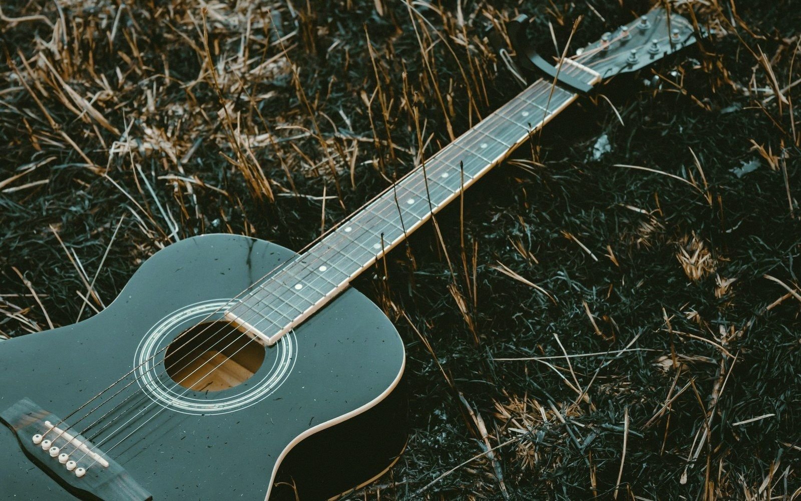 An acoustic guitar lying on its side in dry, dark grass
