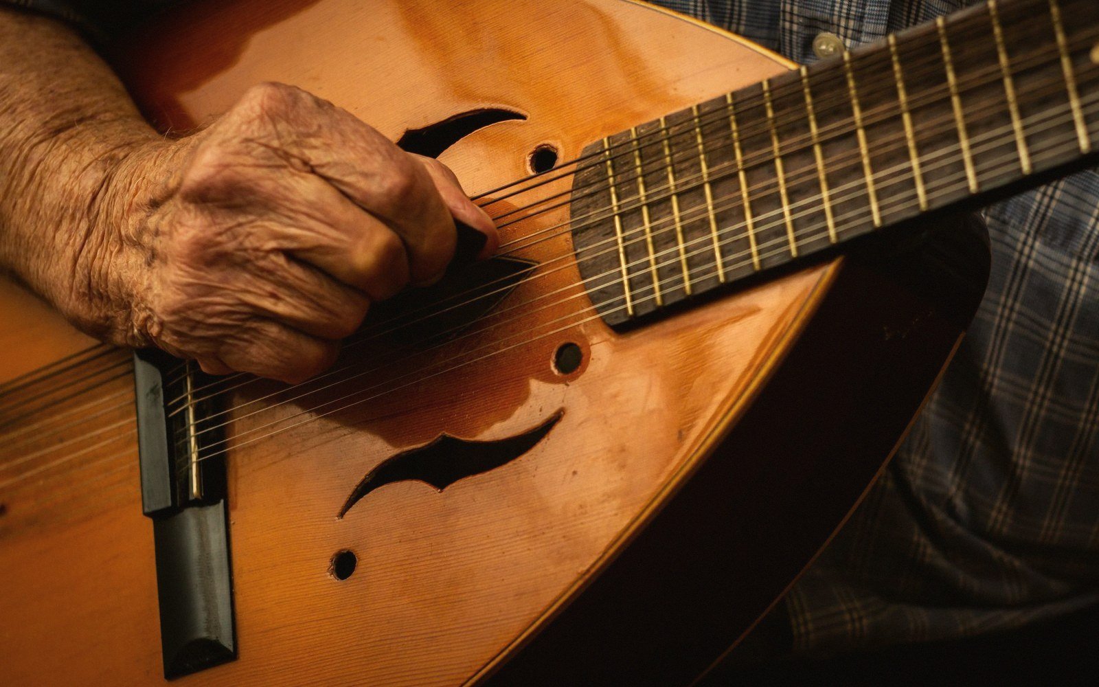 A mandolin f-hole and scratchplate, close
